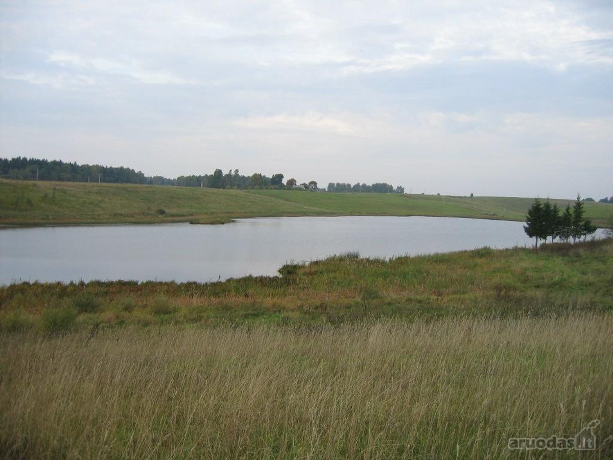 Parduodamas 1,55 ha namų valdos žemės sklypas - nuotraukos Nr. 4