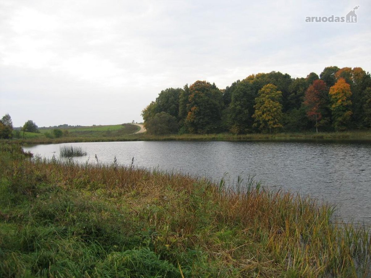 Parduodamas 1,55 ha namų valdos žemės sklypas - nuotraukos Nr. 5