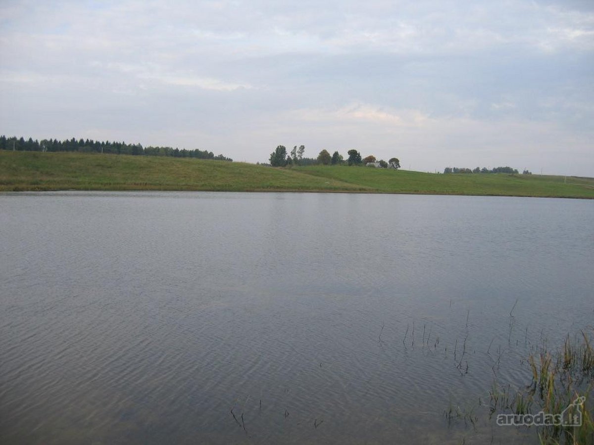 Parduodamas 1,55 ha namų valdos žemės sklypas - nuotraukos Nr. 7