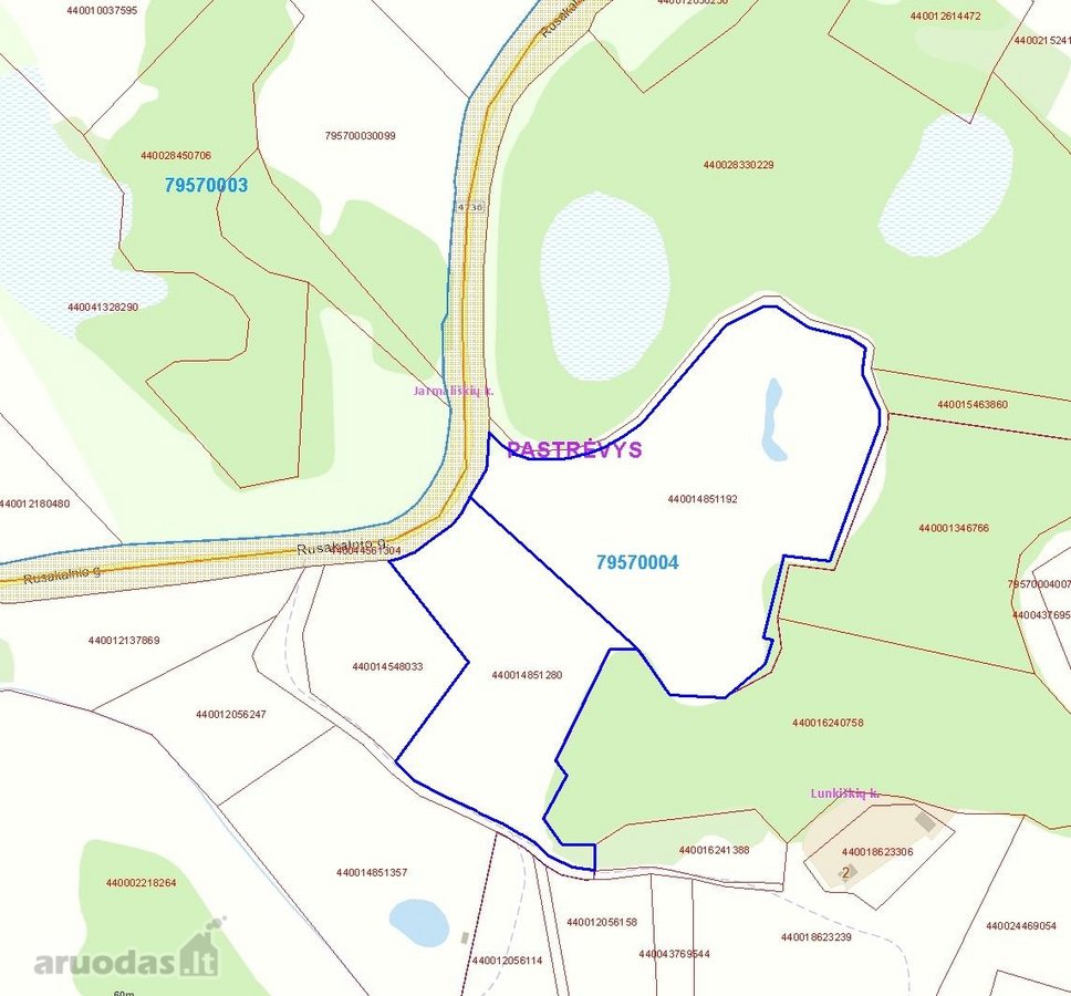 Parduodamas unikalus gamtos kampelis – 4,15