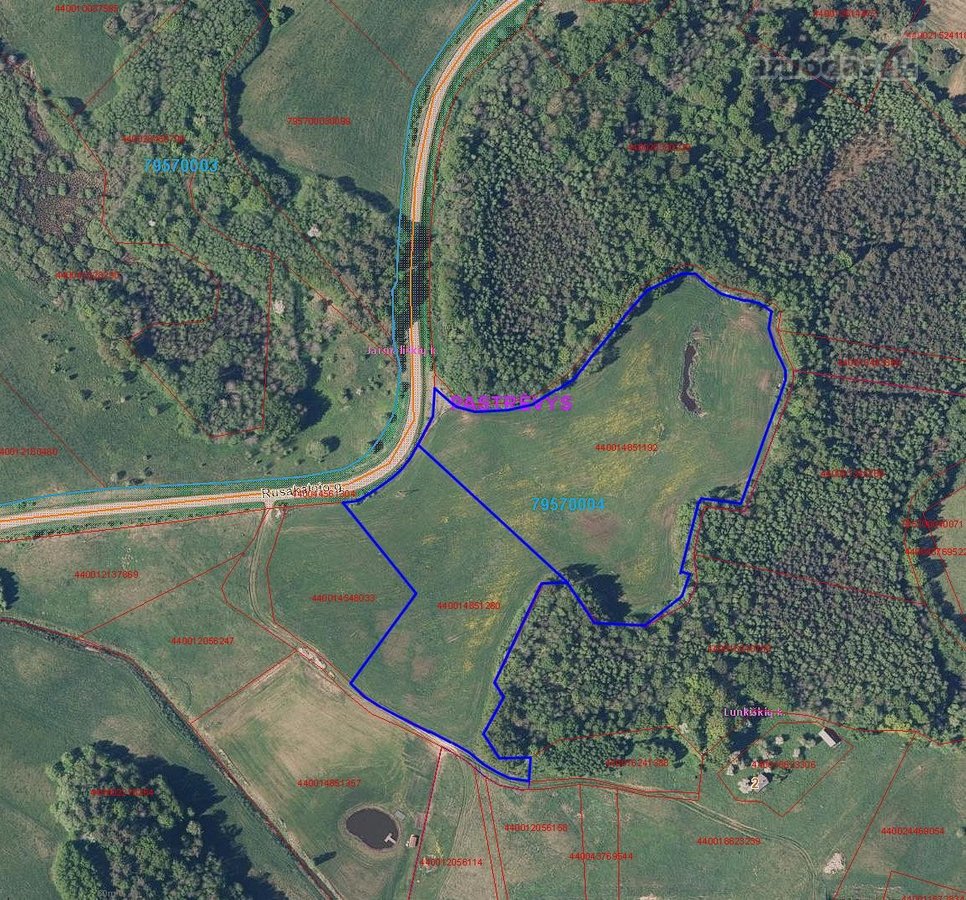 Parduodamas unikalus gamtos kampelis – 4,15 - nuotraukos Nr. 2