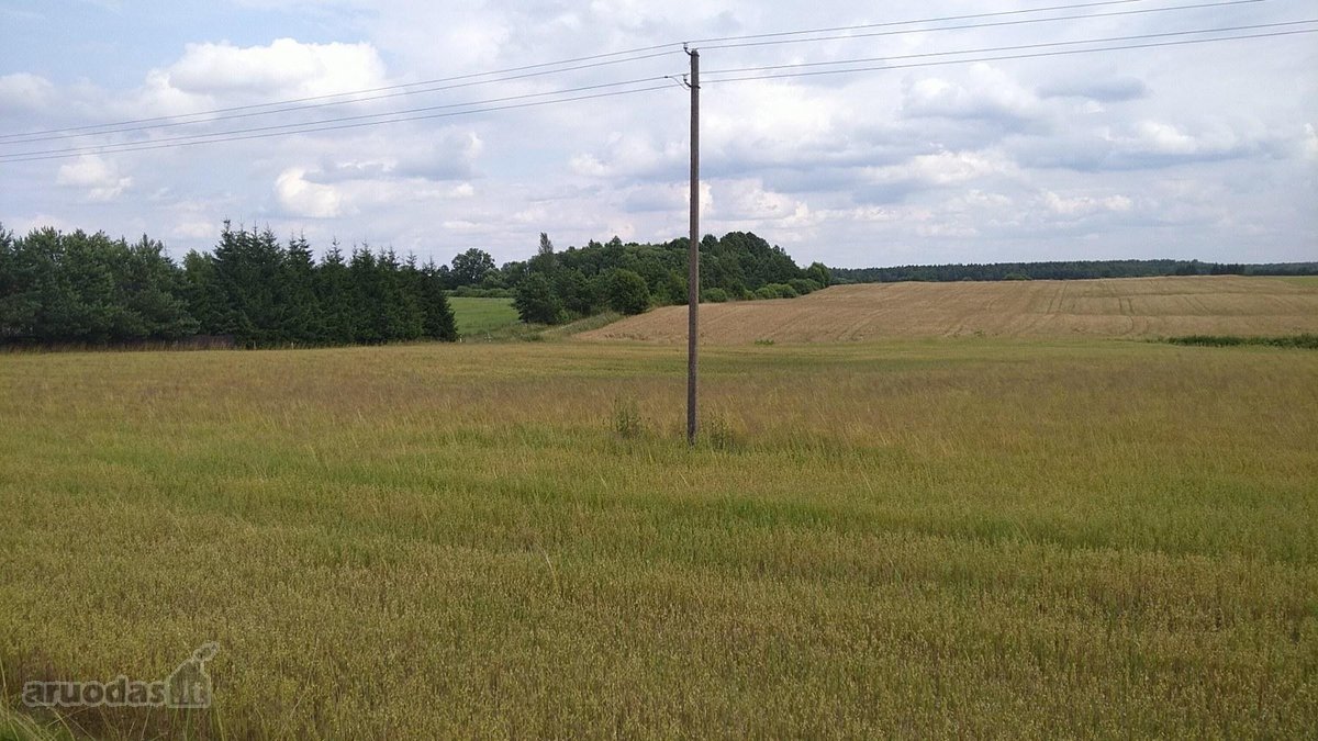 Visi sklypai pagal Vilniaus rajono specialųjį - nuotraukos Nr. 2