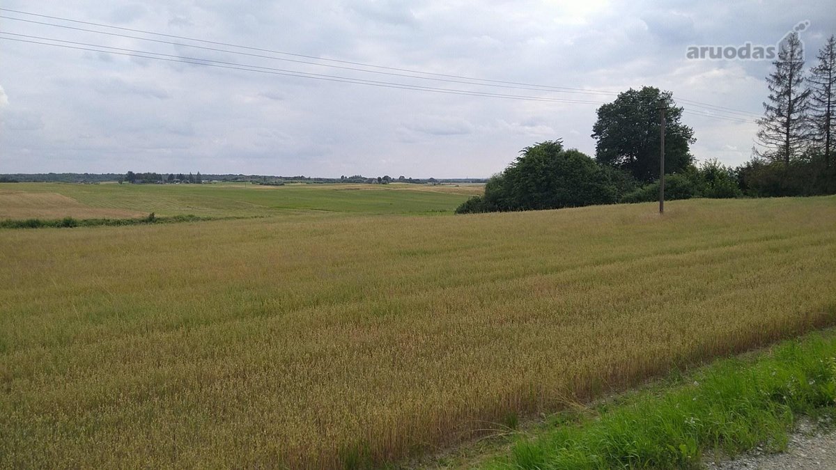 Visi sklypai pagal Vilniaus rajono specialųjį - nuotraukos Nr. 3