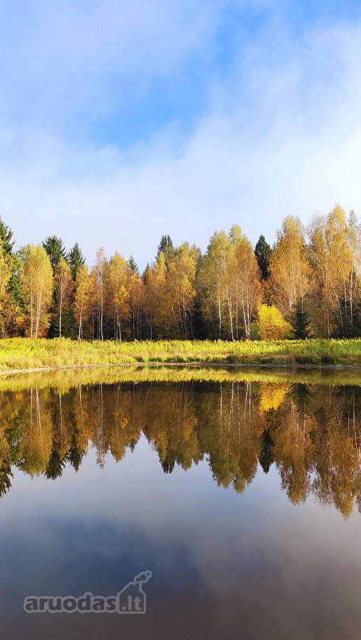 3,86 ha sklypas su statybos leidimu greta