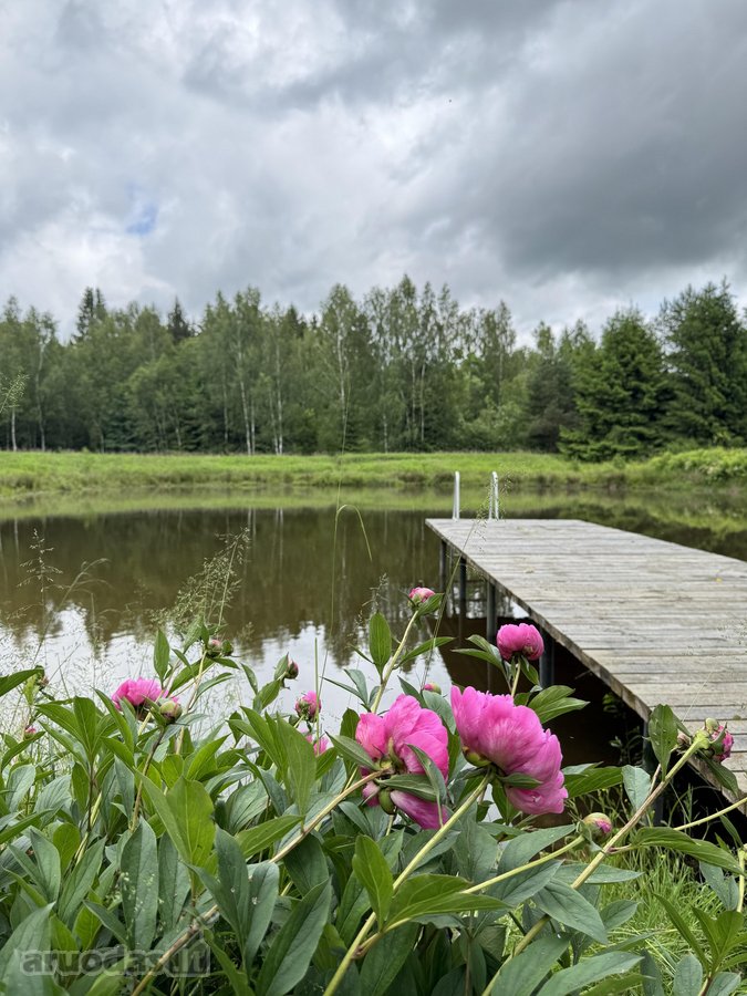 3,86 ha sklypas su statybos leidimu greta - nuotraukos Nr. 2
