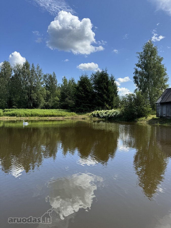 3,86 ha sklypas su statybos leidimu greta - nuotraukos Nr. 7