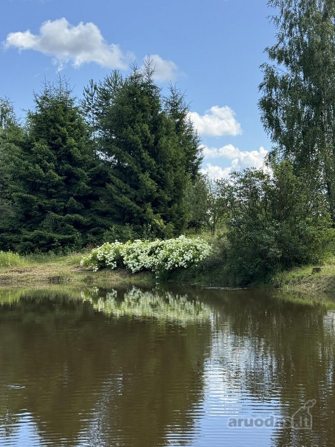 3,86 ha sklypas su statybos leidimu greta - nuotraukos Nr. 8