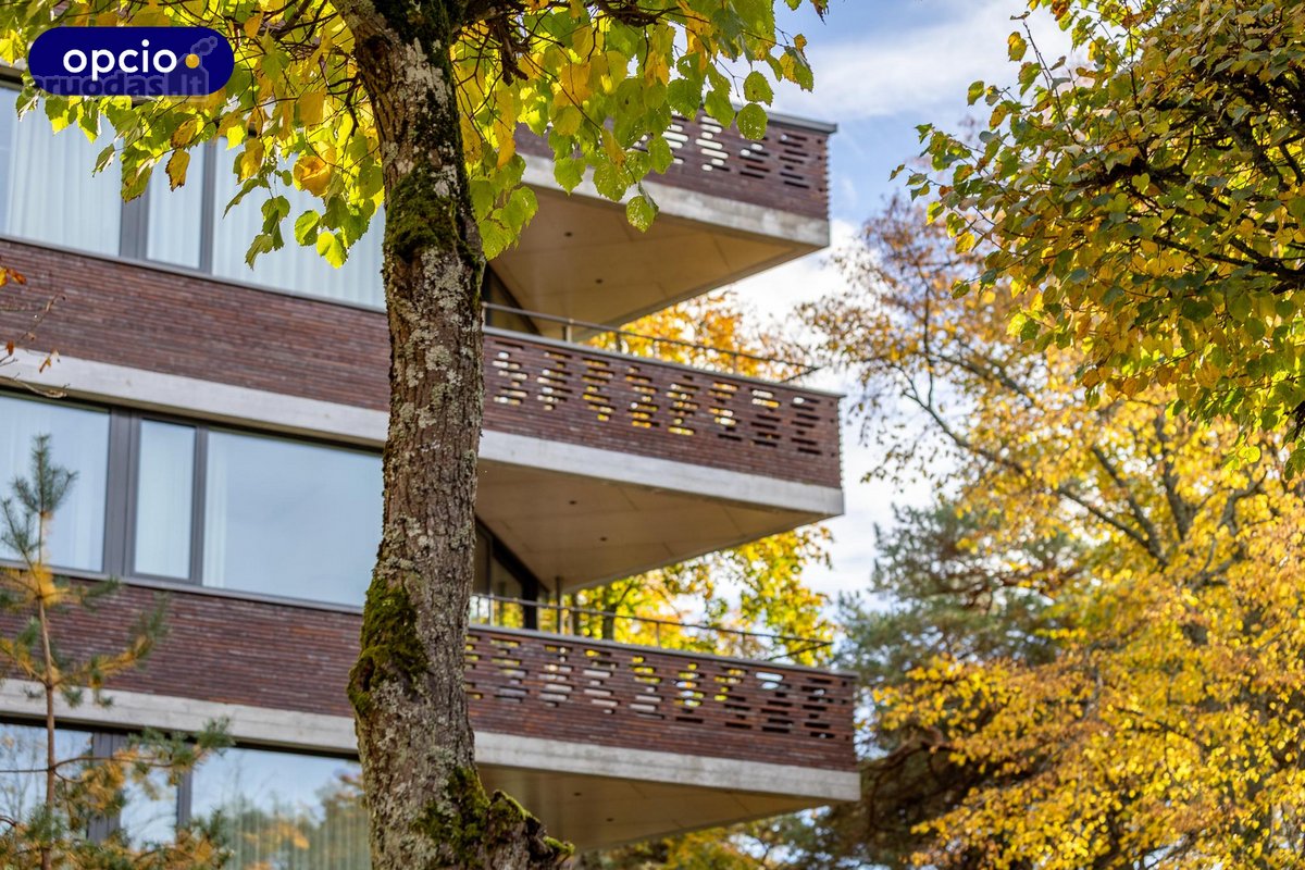 Parduodami Dviejų Kambarių Apartamentai - nuotraukos Nr. 32