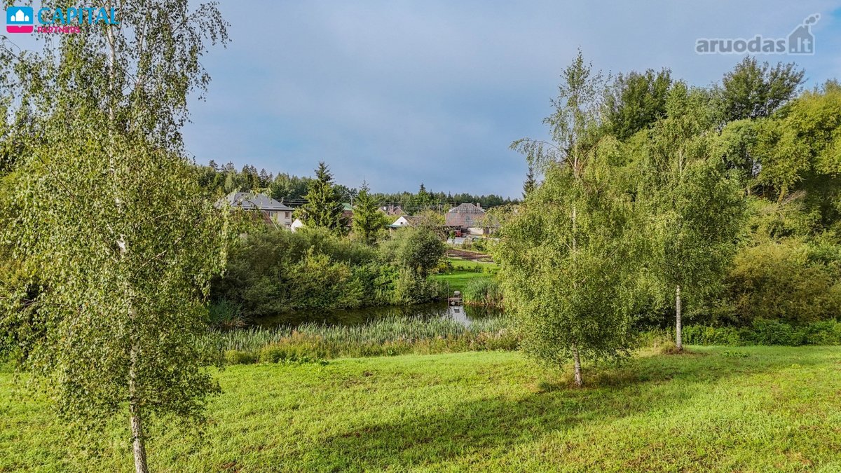 Svajojote Gyventi Ant Tvenkinio Kranto - Jums - nuotraukos Nr. 12