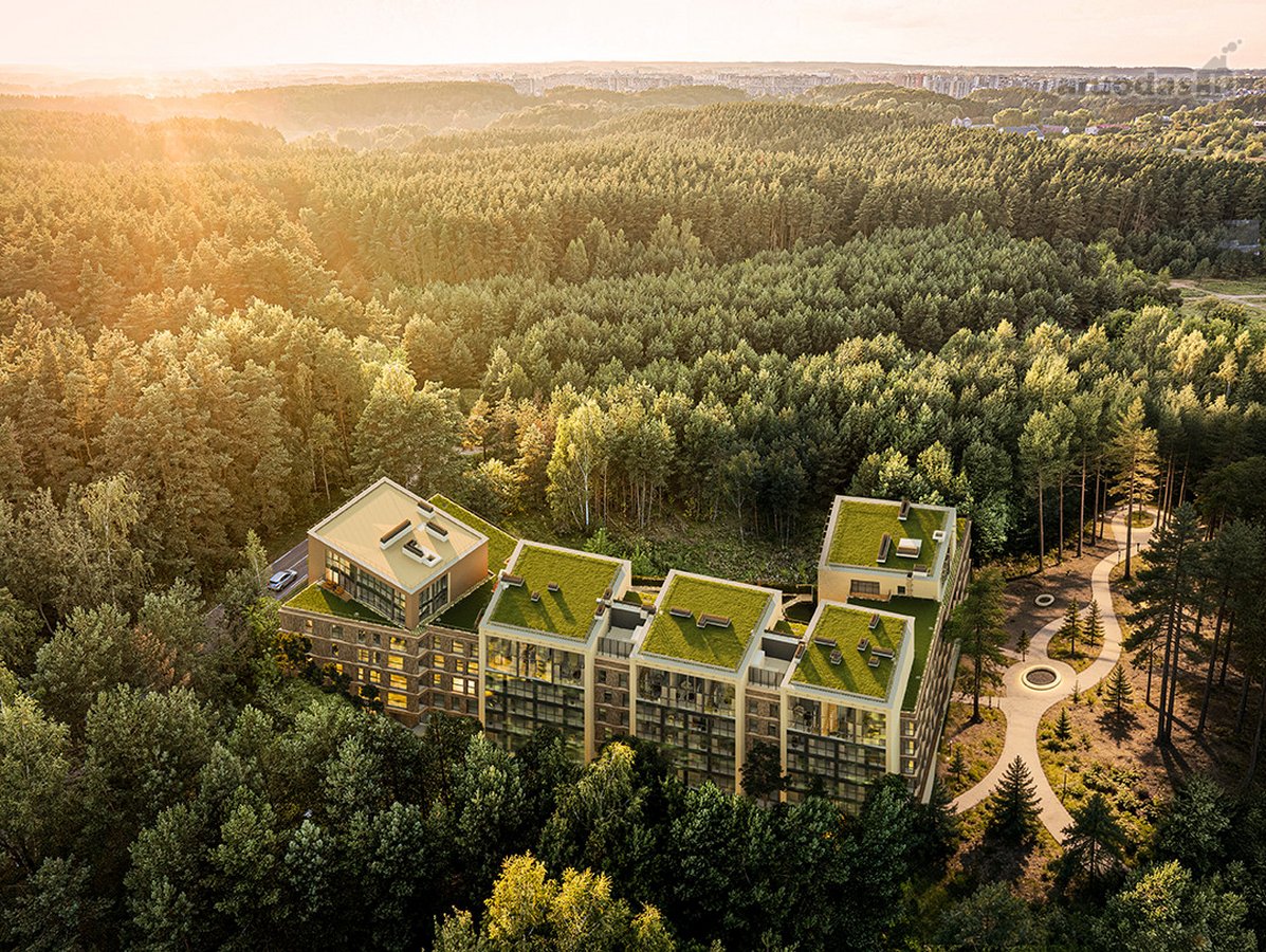 Butas Nr. 71 – pietvakarių saulė, miško - nuotraukos Nr. 3