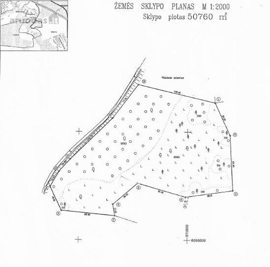 Parduodamas Miškų ūkio paskirties, - nuotraukos Nr. 3