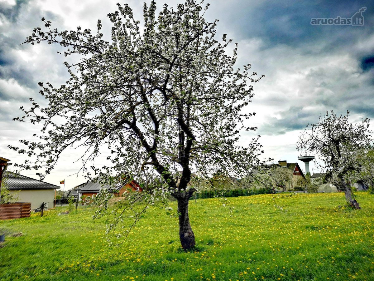 Parduodamas gyvenamasis namas su 8,5 aro - nuotraukos Nr. 3