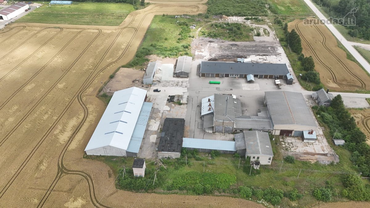 Išnuomojamos 6 000 m² gamybinės–sandėliavimo - nuotraukos Nr. 3