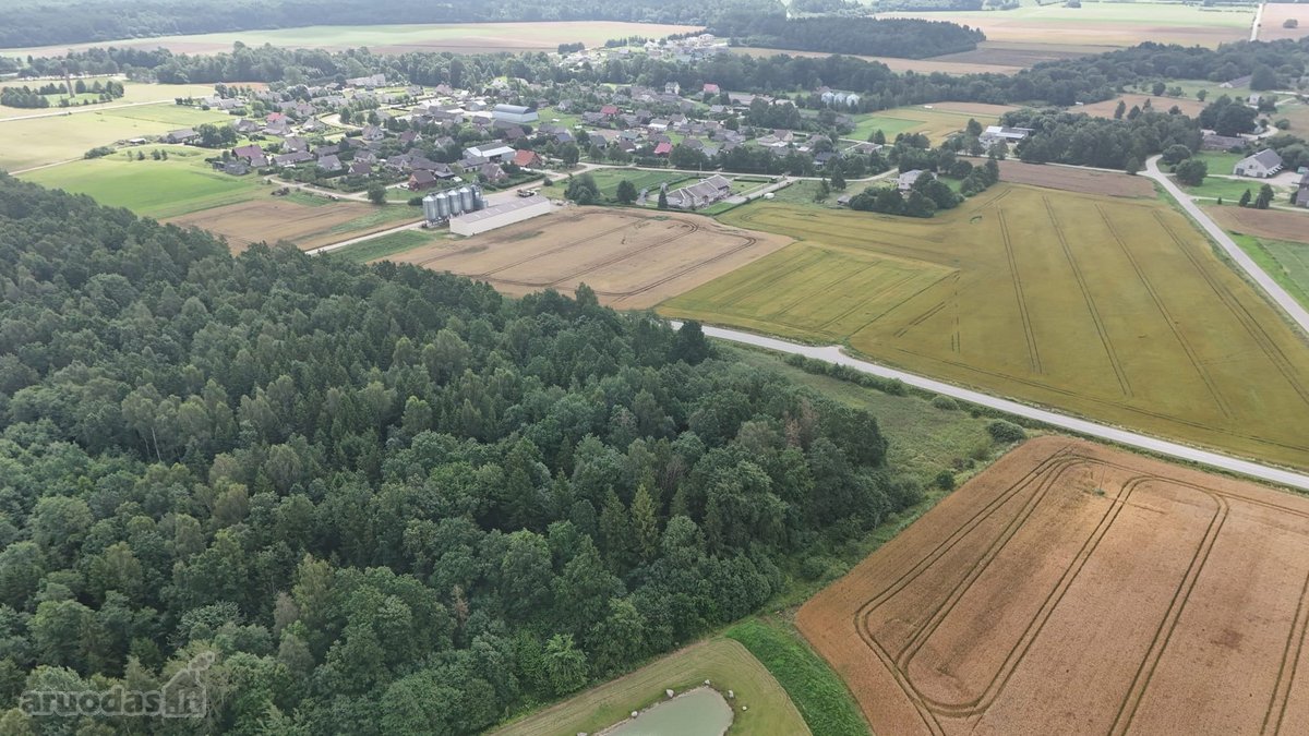Išnuomojamos 6 000 m² gamybinės–sandėliavimo - nuotraukos Nr. 12