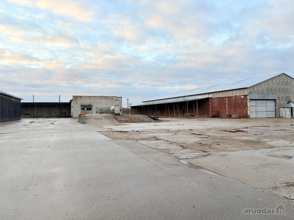 Išnuomojamos 6 000 m² gamybinės–sandėliavimo - nuotraukos Nr. 15