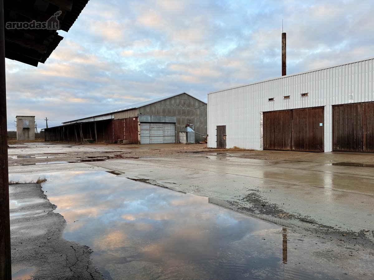 Išnuomojamos 6 000 m² gamybinės–sandėliavimo - nuotraukos Nr. 2