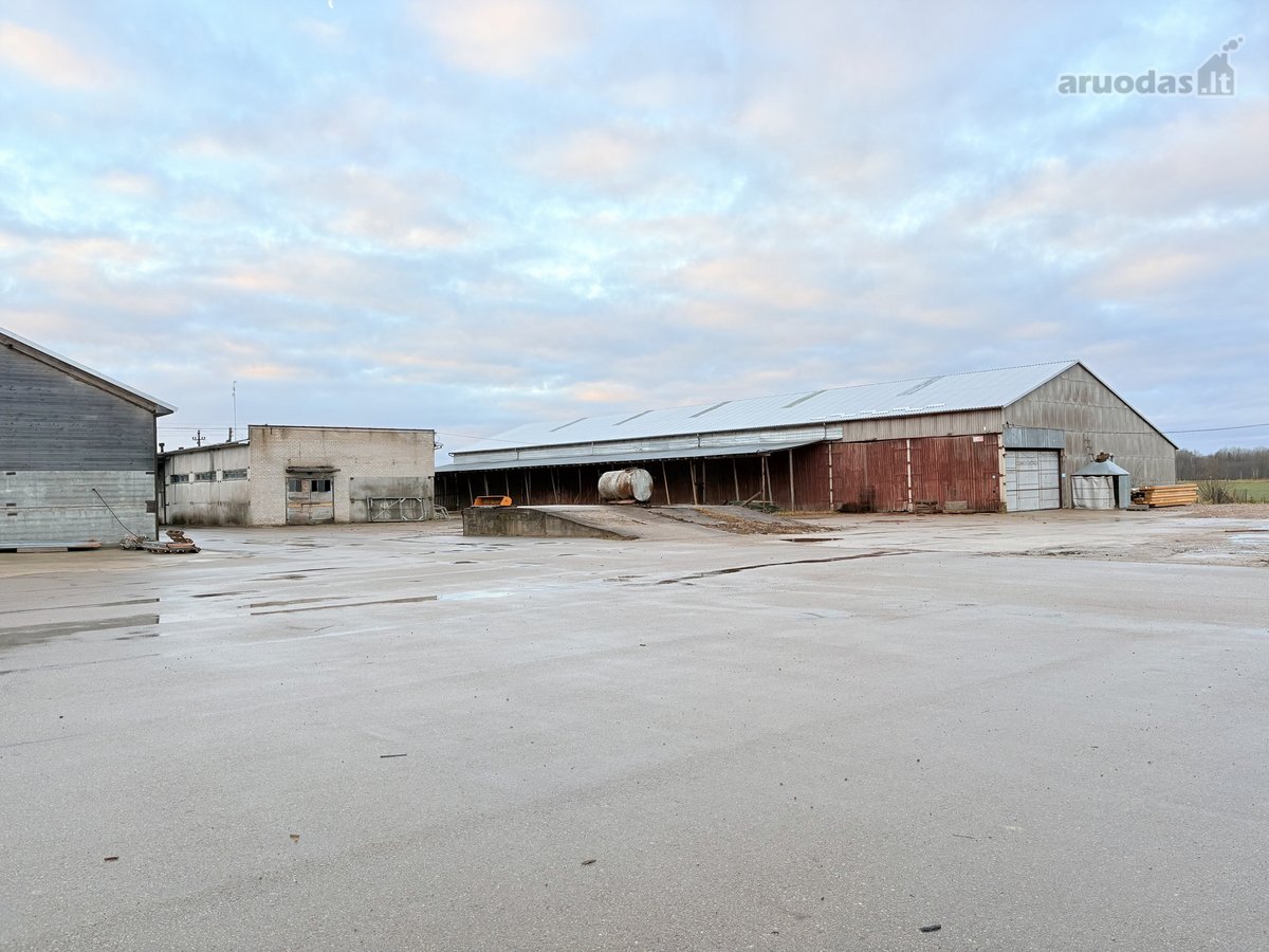 Išnuomojamos 6 000 m² gamybinės–sandėliavimo - nuotraukos Nr. 17