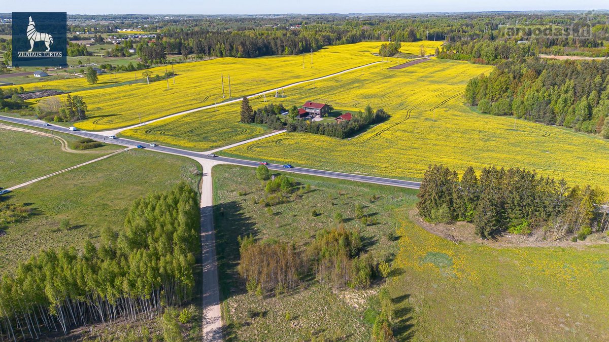 Parduodami du namų valdos sklypai. - nuotraukos Nr. 9