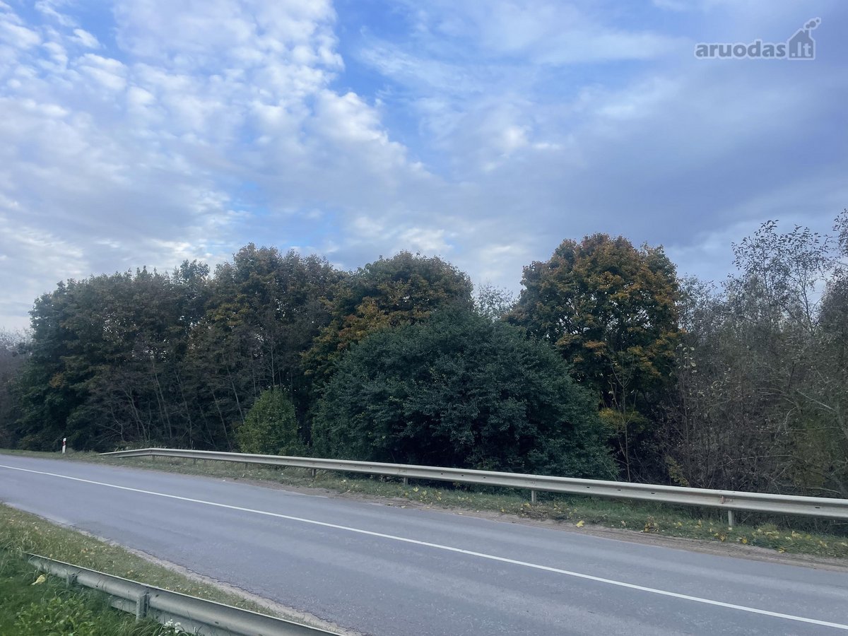Objektas Randasi Platiniškių km , Zujunų - nuotraukos Nr. 3