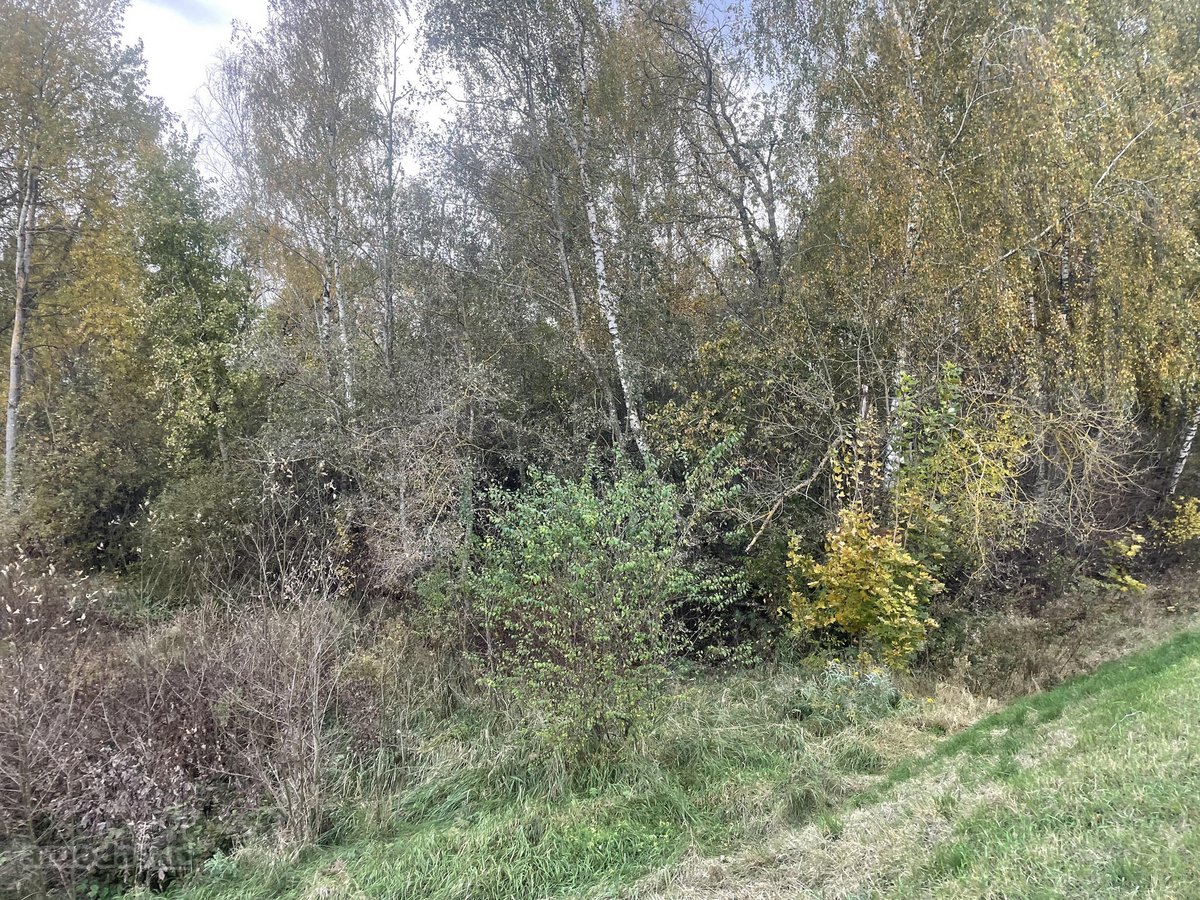 Objektas Randasi Platiniškių km , Zujunų - nuotraukos Nr. 4