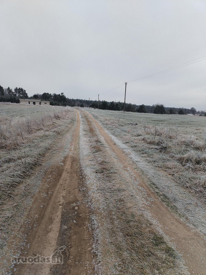 Parduodami du žemės ūkio paskirties sklypai, - nuotraukos Nr. 5