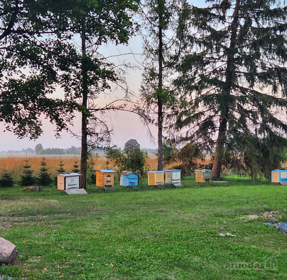 Parduodama autentiška ,100 liepų sodyba - nuotraukos Nr. 24