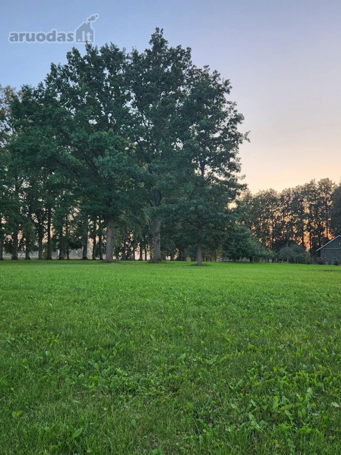 Parduodama autentiška ,100 liepų sodyba - nuotraukos Nr. 23