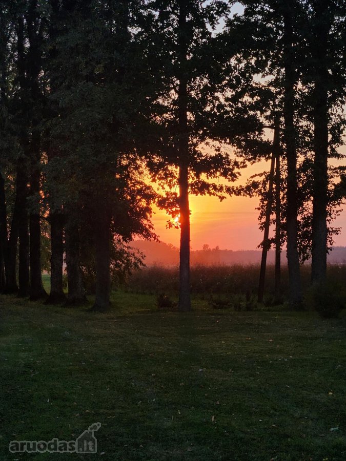 Parduodama autentiška ,100 liepų sodyba - nuotraukos Nr. 29