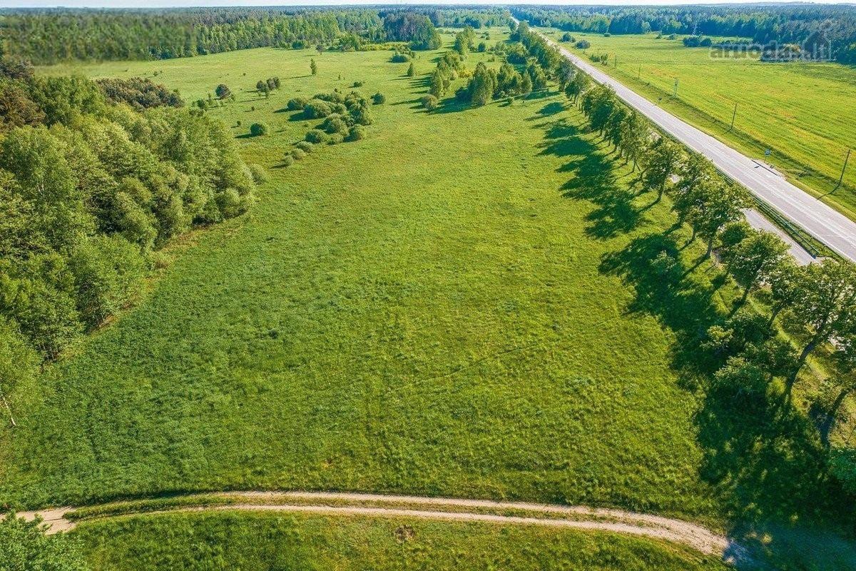 Parduodamas Arba Nuomojamas 1,65 Ha Sklypas - nuotraukos Nr. 5
