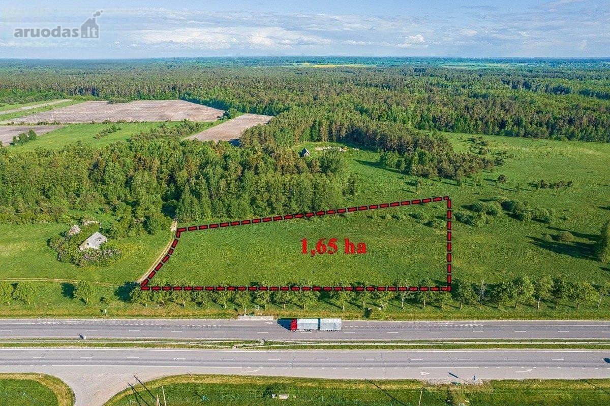 Parduodamas Arba Nuomojamas 1,65 Ha Sklypas - nuotraukos Nr. 4