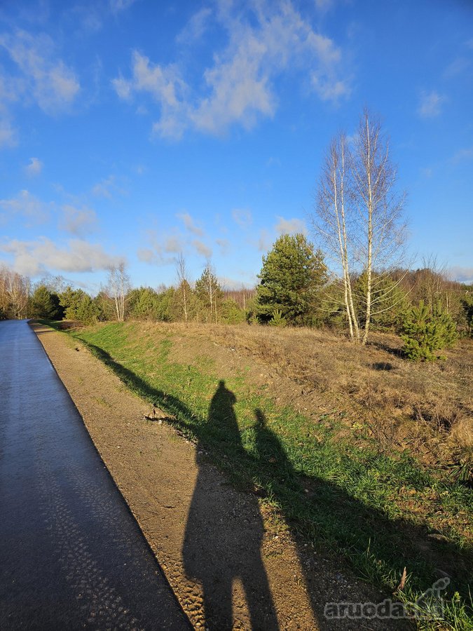 Parduodami trys žemės ūkio paskirties sklypai - nuotraukos Nr. 14