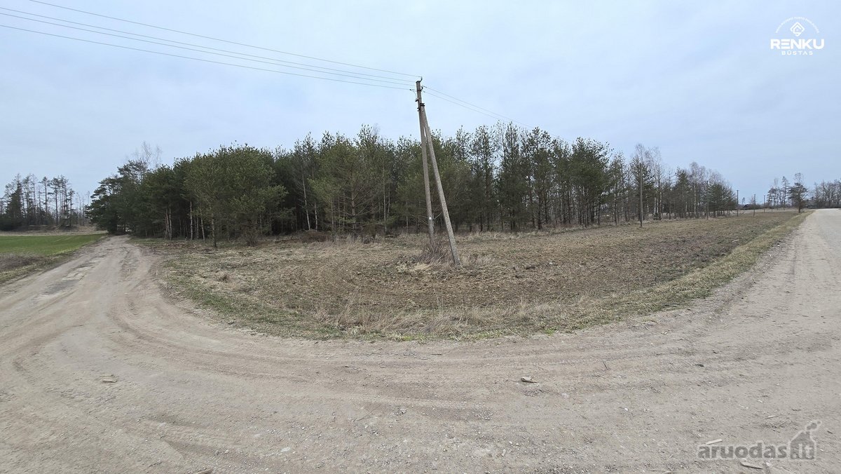 Parduodamas Miškas, Rukuižių km., Žagarės sen