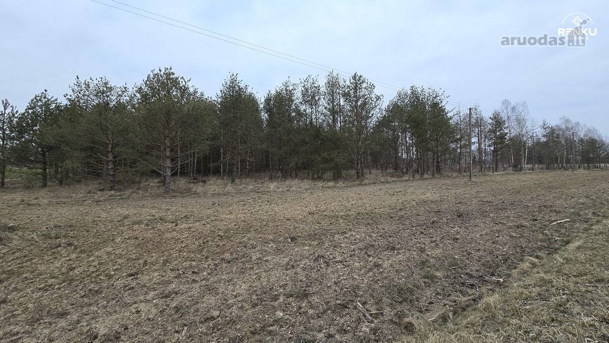 Parduodamas Miškas, Rukuižių km., Žagarės sen - nuotraukos Nr. 2