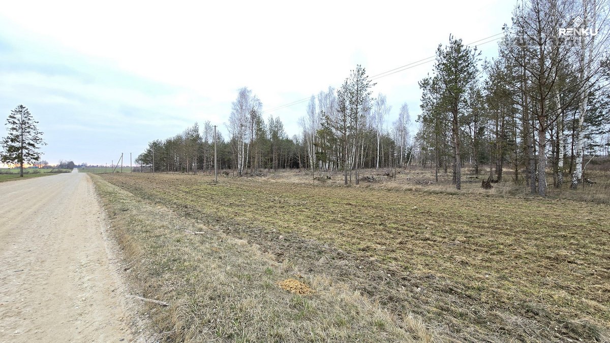 Parduodamas Miškas, Rukuižių km., Žagarės sen - nuotraukos Nr. 3