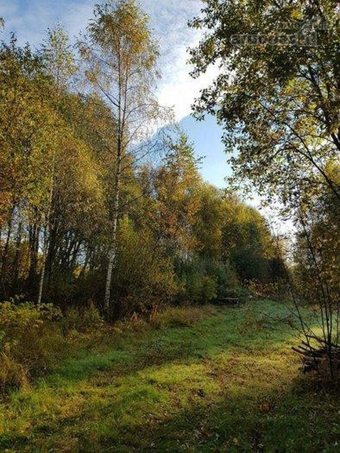 Parduodame jaukų, didelį sklypą.
