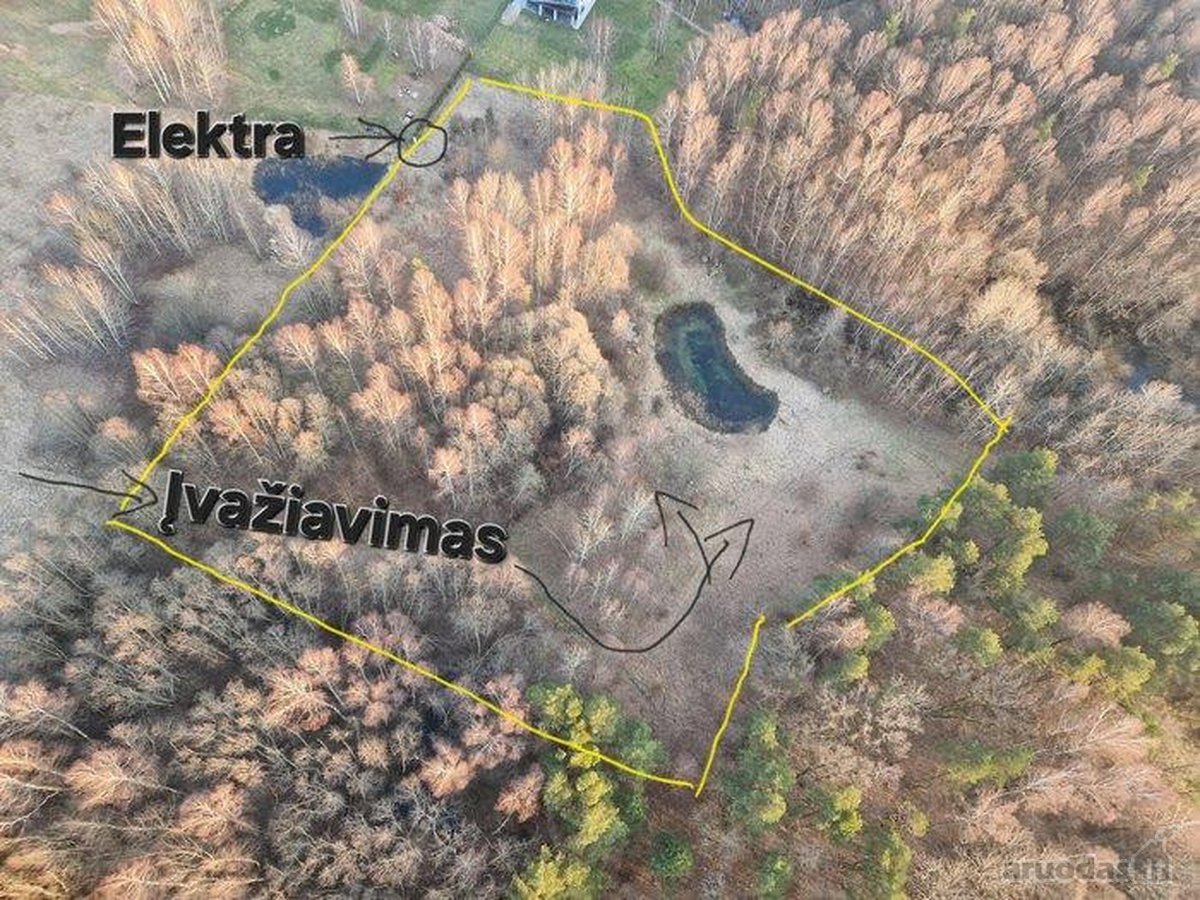 Parduodame jaukų, didelį sklypą. - nuotraukos Nr. 6