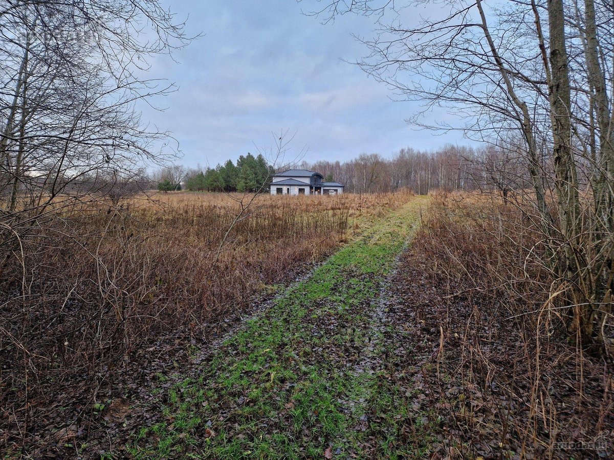 Parduodame jaukų, didelį sklypą. - nuotraukos Nr. 7