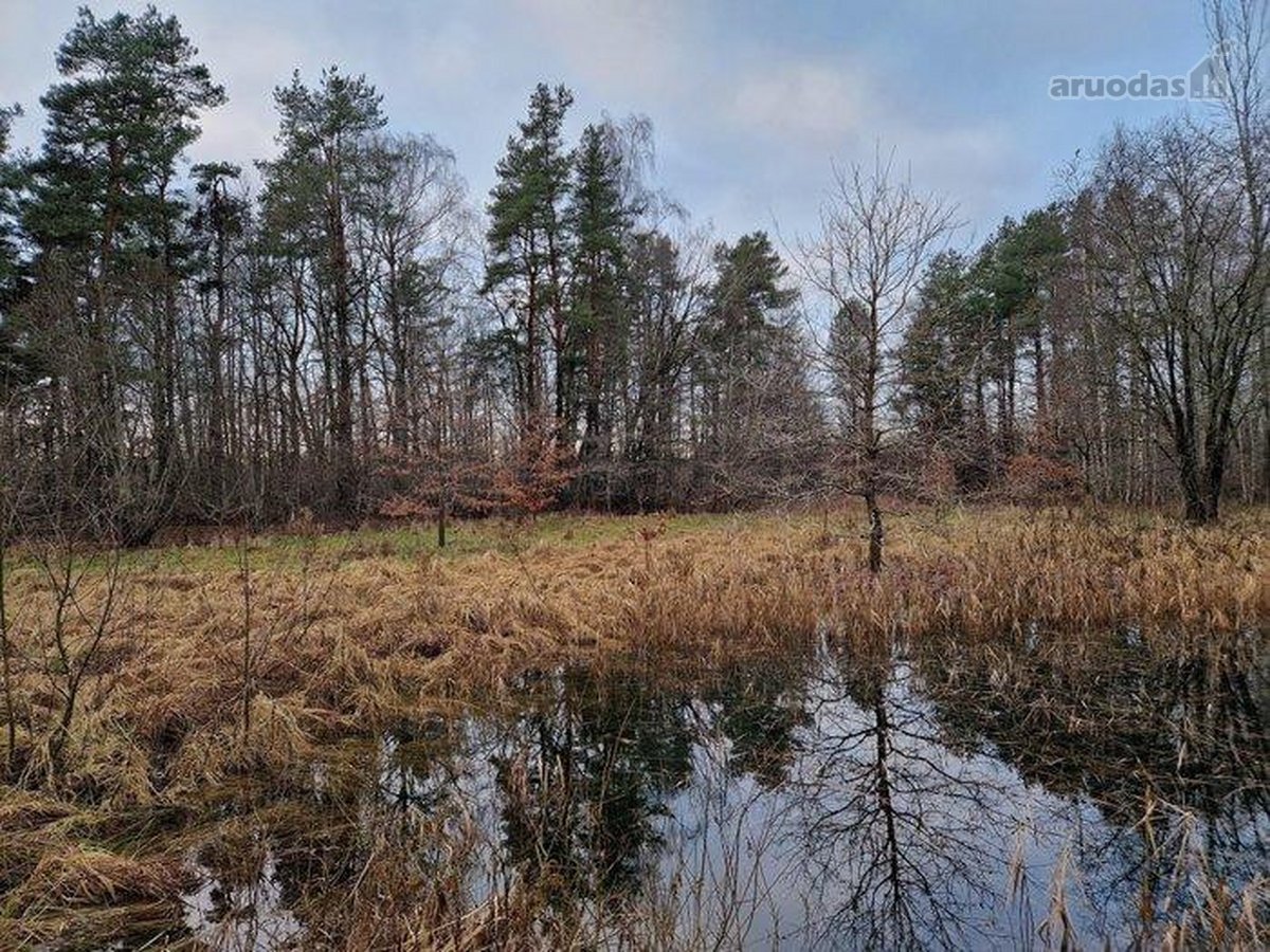 Parduodame jaukų, didelį sklypą. - nuotraukos Nr. 9
