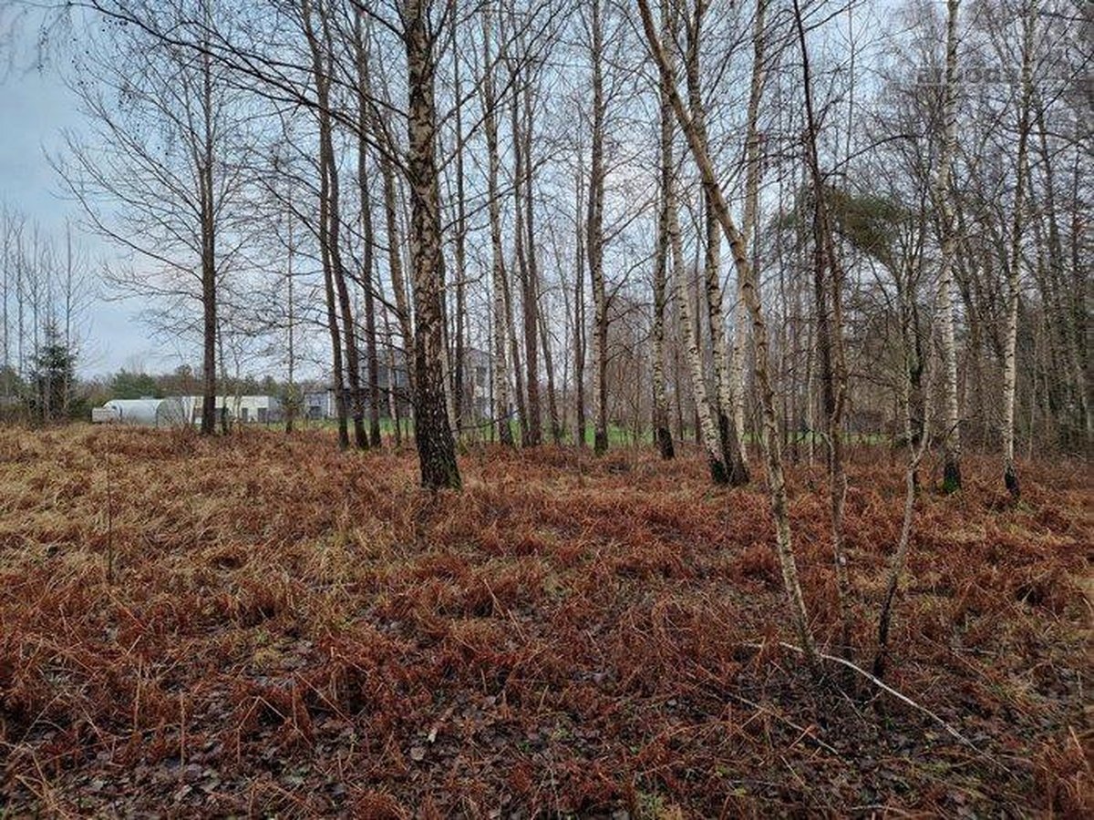 Parduodame jaukų, didelį sklypą. - nuotraukos Nr. 10