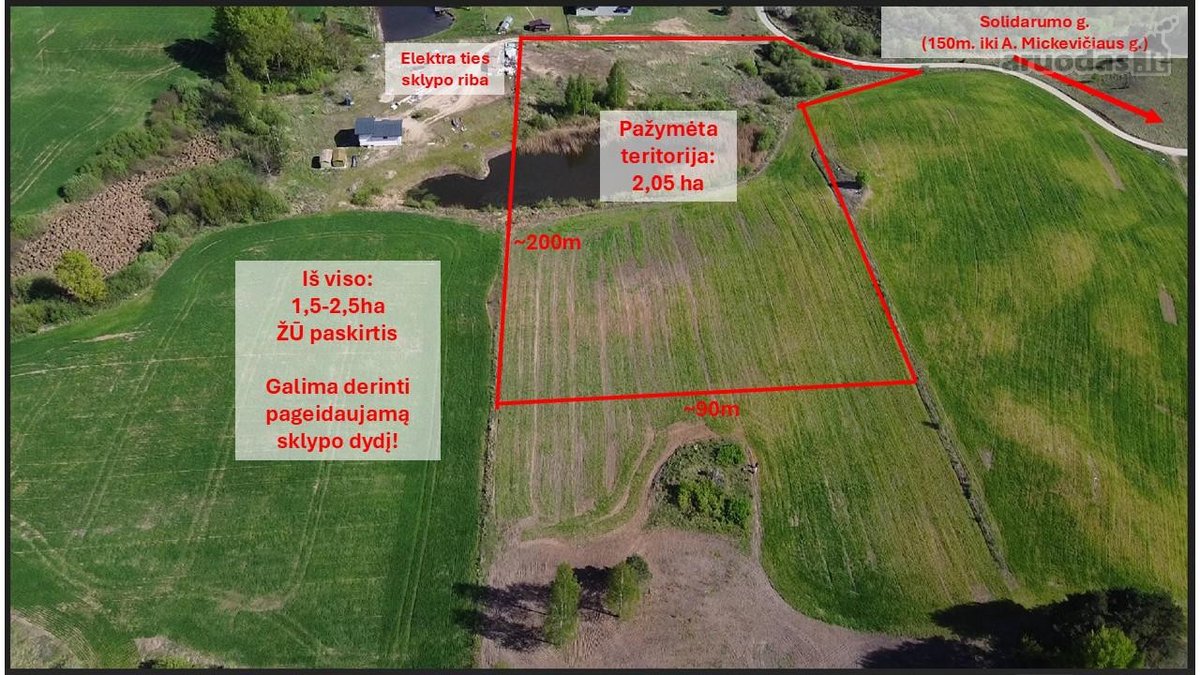 Parduodamas žemės ūkio paskirties sklypas - nuotraukos Nr. 2