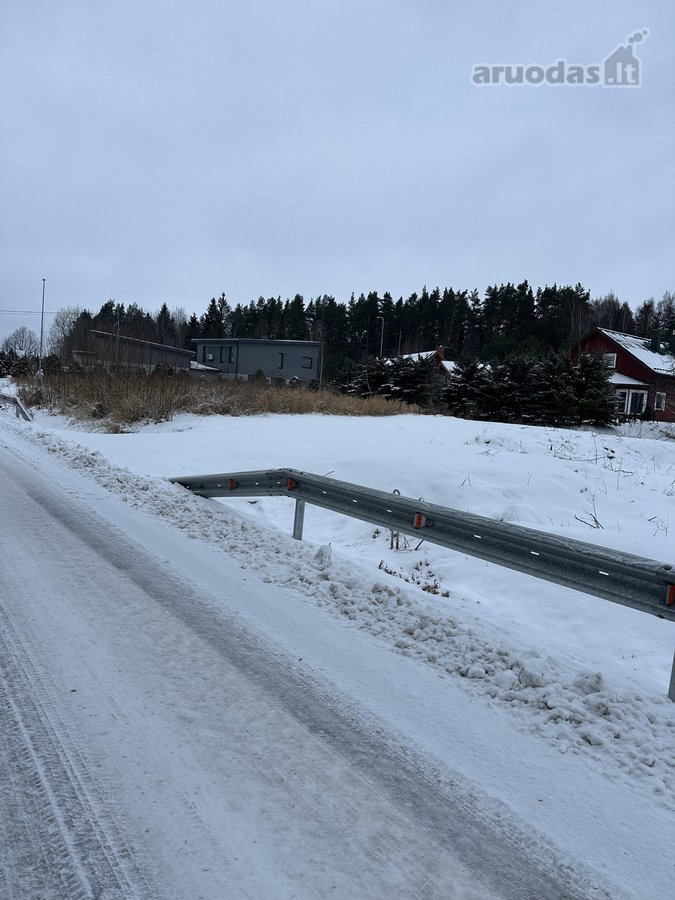 Šalia pušyno parduodamas 6,69 a. žemės