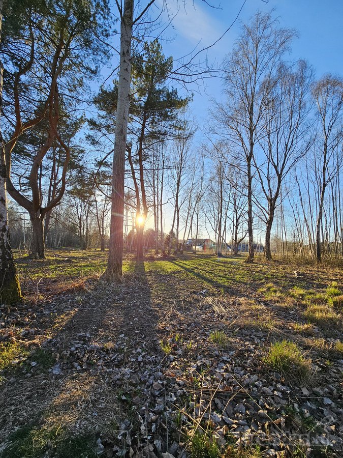 Sklypas Nr. 55d - 777 m2 - 24.000 Eur;
