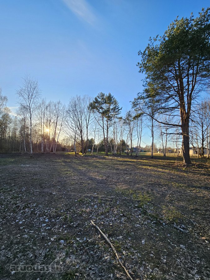Sklypas Nr. 55d - 777 m2 - 24.000 Eur; - nuotraukos Nr. 8