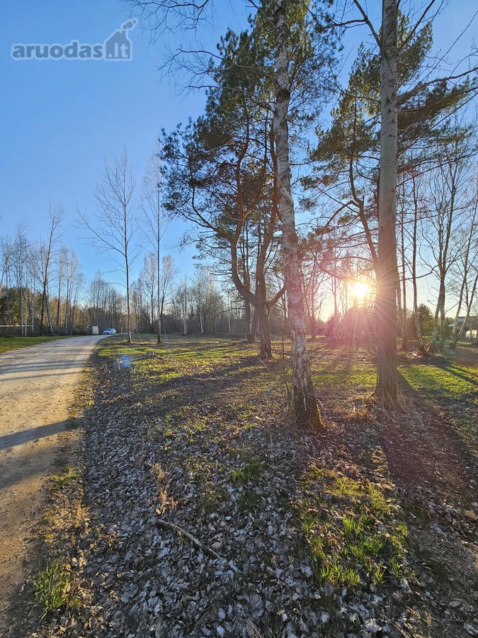 Sklypas Nr. 55d - 777 m2 - 24.000 Eur; - nuotraukos Nr. 7