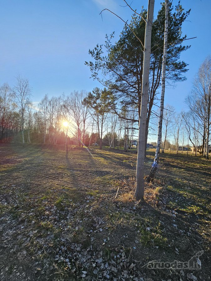 Sklypas Nr. 55d - 777 m2 - 24.000 Eur; - nuotraukos Nr. 10