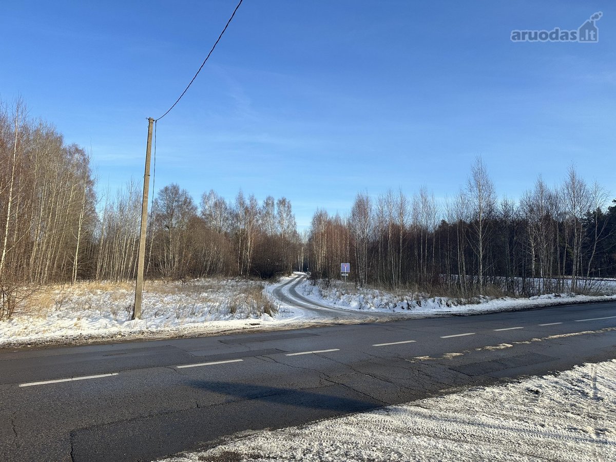 Sklypas Nr. 55d - 777 m2 - 24.000 Eur; - nuotraukos Nr. 12