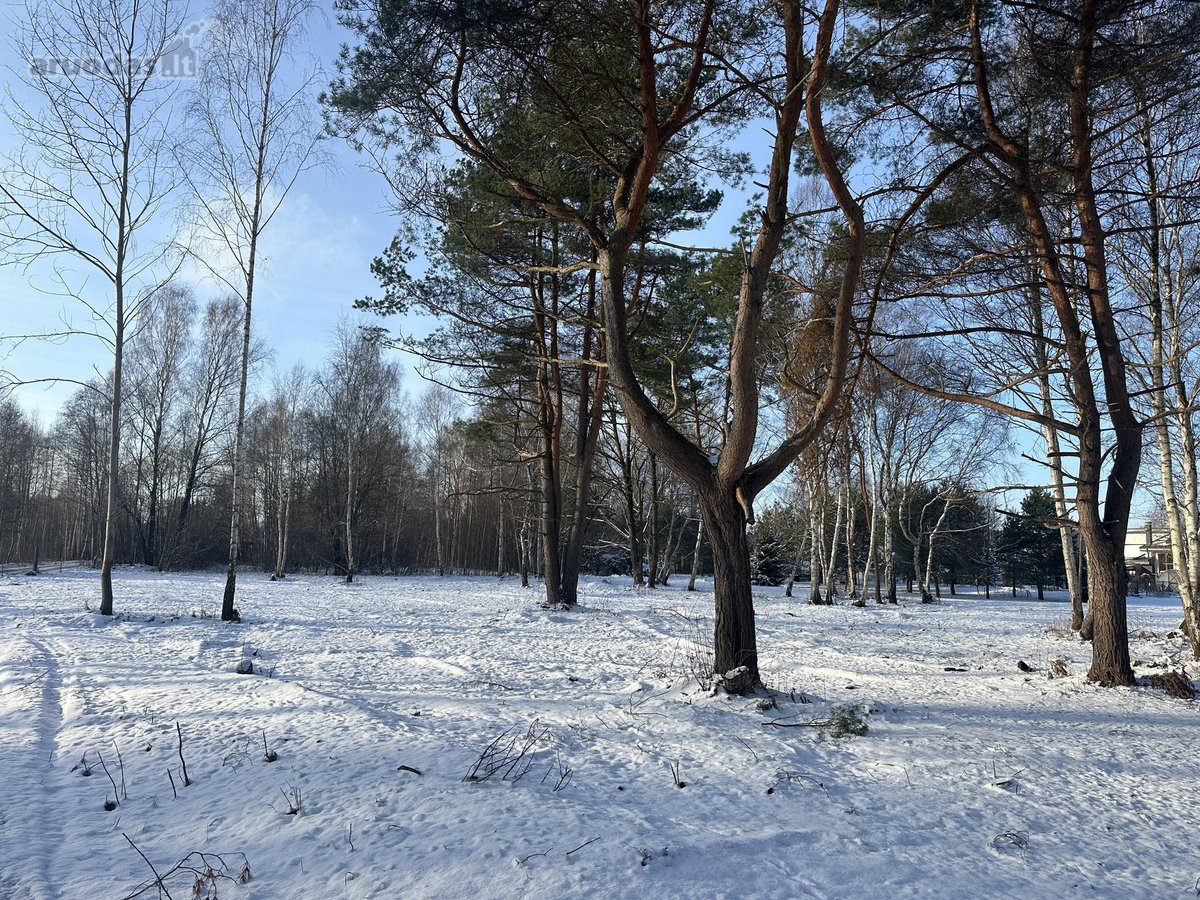 Sklypas Nr. 55d - 777 m2 - 24.000 Eur; - nuotraukos Nr. 13