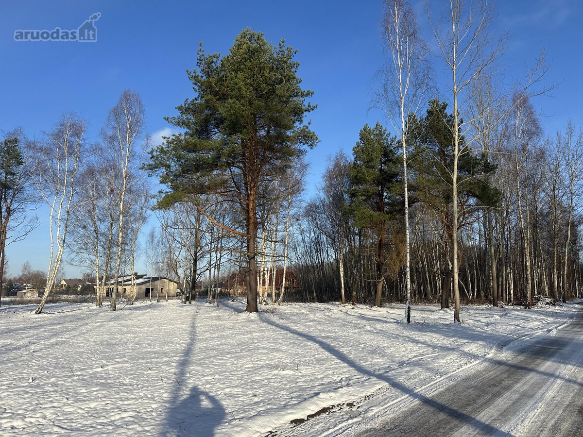 Sklypas Nr. 55d - 777 m2 - 24.000 Eur; - nuotraukos Nr. 15