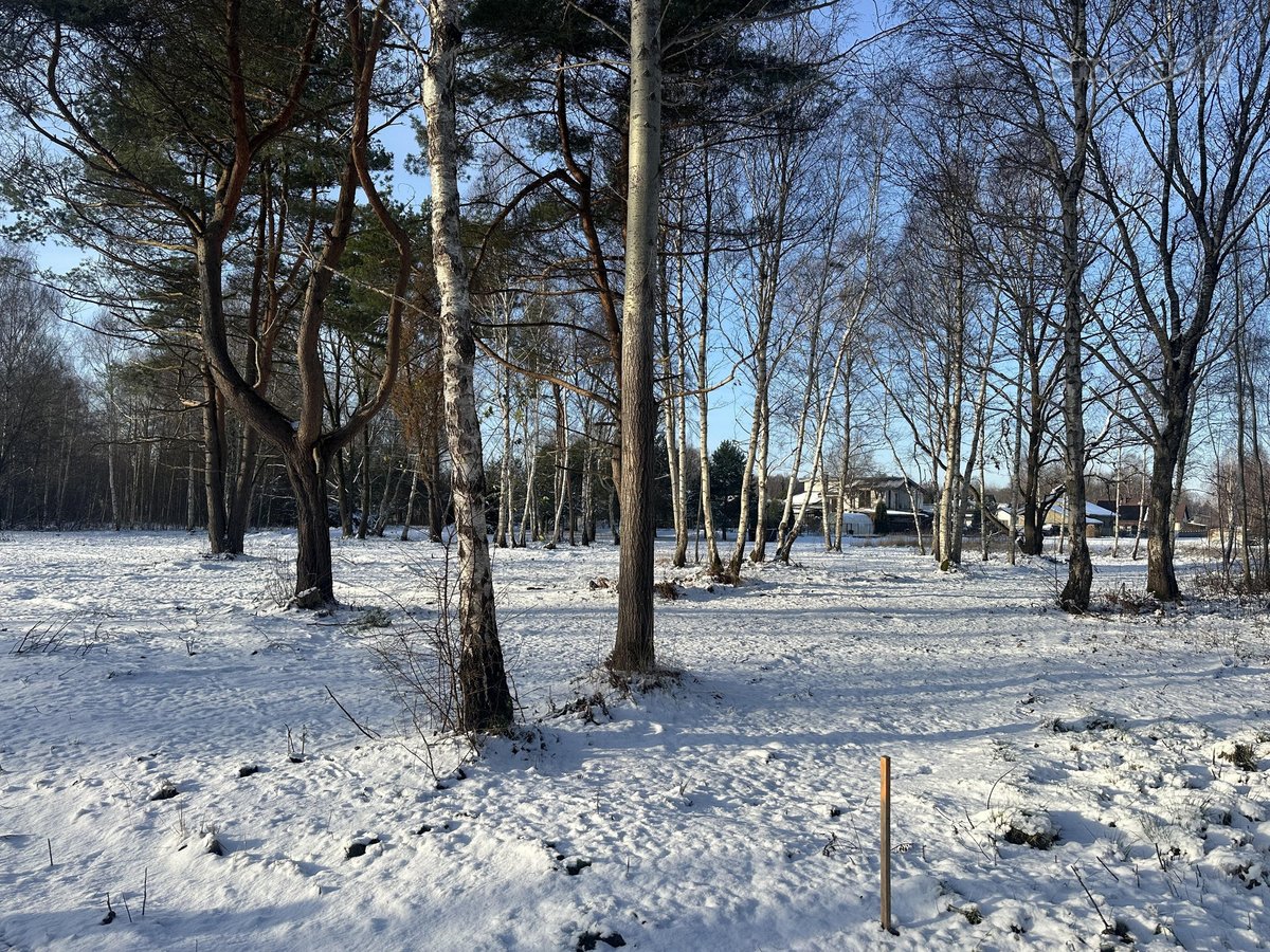 Sklypas Nr. 55d - 777 m2 - 24.000 Eur; - nuotraukos Nr. 14