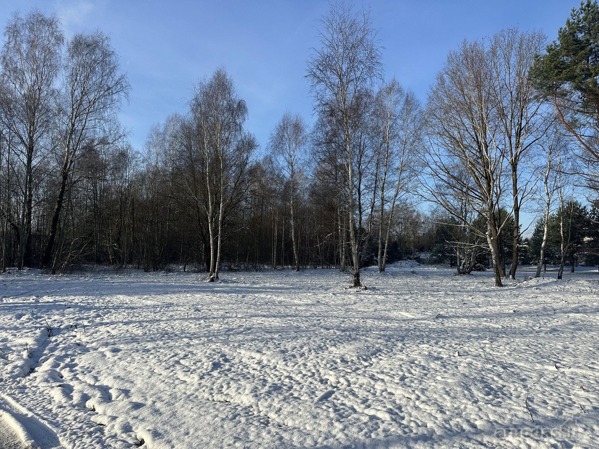 Sklypas Nr. 55d - 777 m2 - 24.000 Eur; - nuotraukos Nr. 18